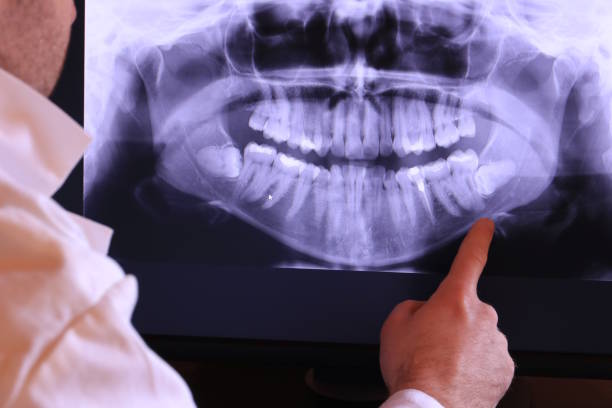 Best Emergency X-Rays and Diagnostics in Laingsburg, MI